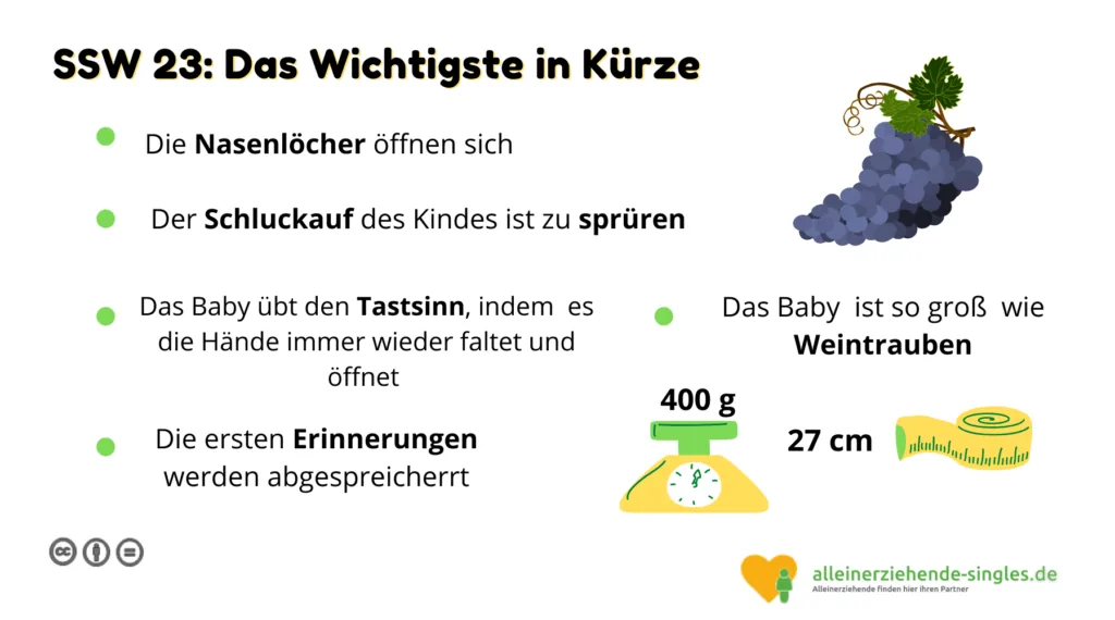 Schwangerschaftswoche 23
