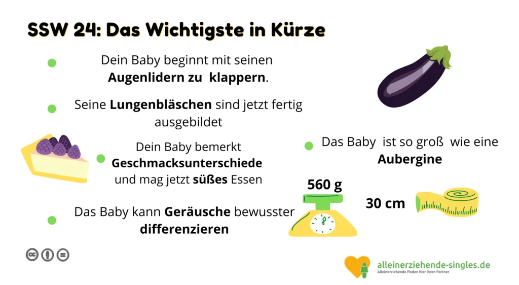 Schwangerschaftswoche 24