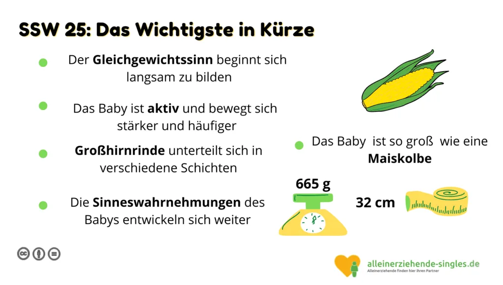 Schwangerschaftswoche 25
