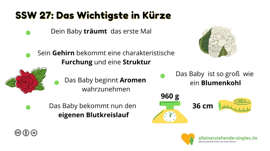 Schwangerschaftswoche 27