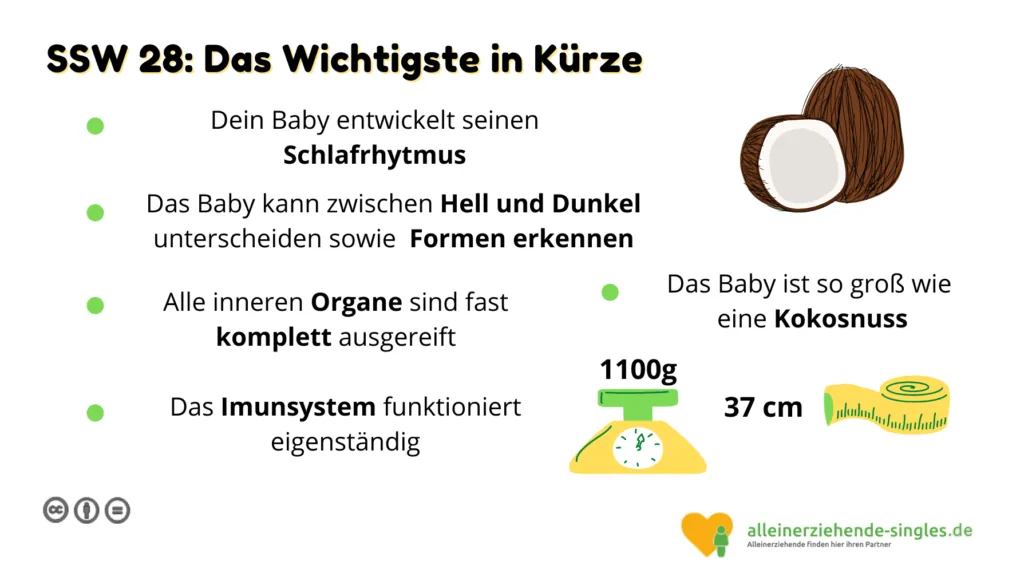 Schwangerschaftswoche 28