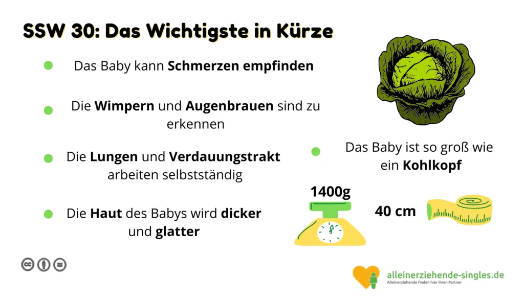 Schwangerschaftswoche 30