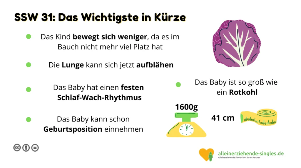 Schwangerschaftswoche 31