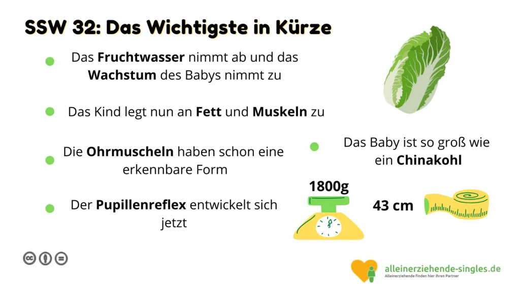Schwangerschaftswoche 32