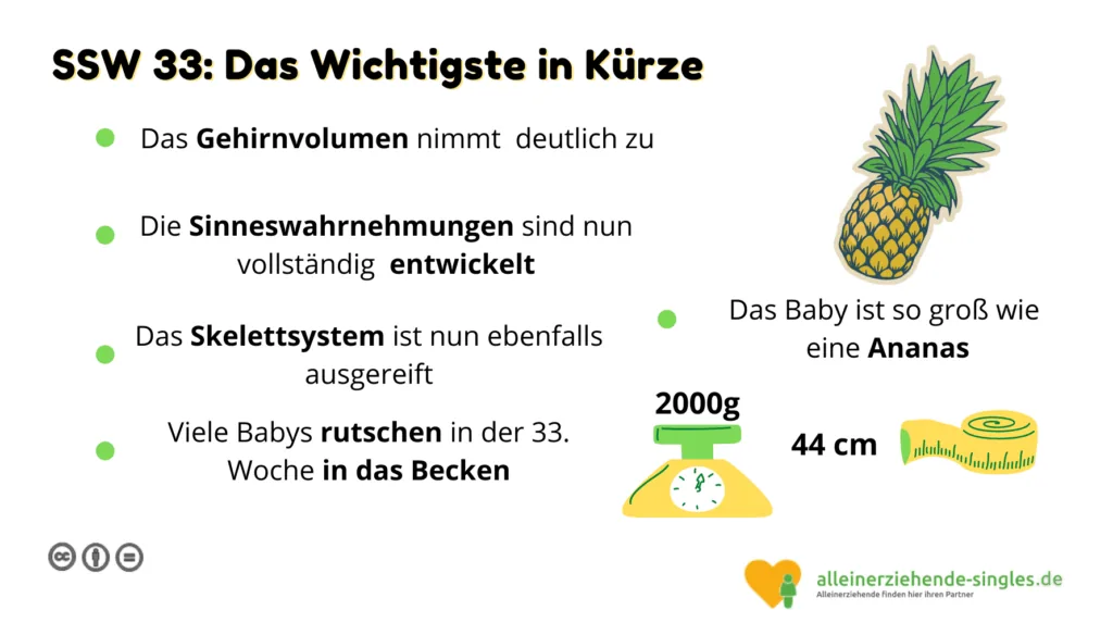 Schwangerschaftswoche 33