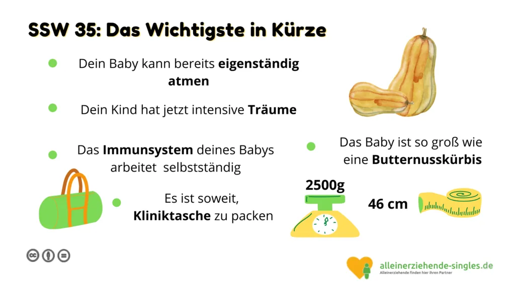 Schwangerschaftswoche 35
