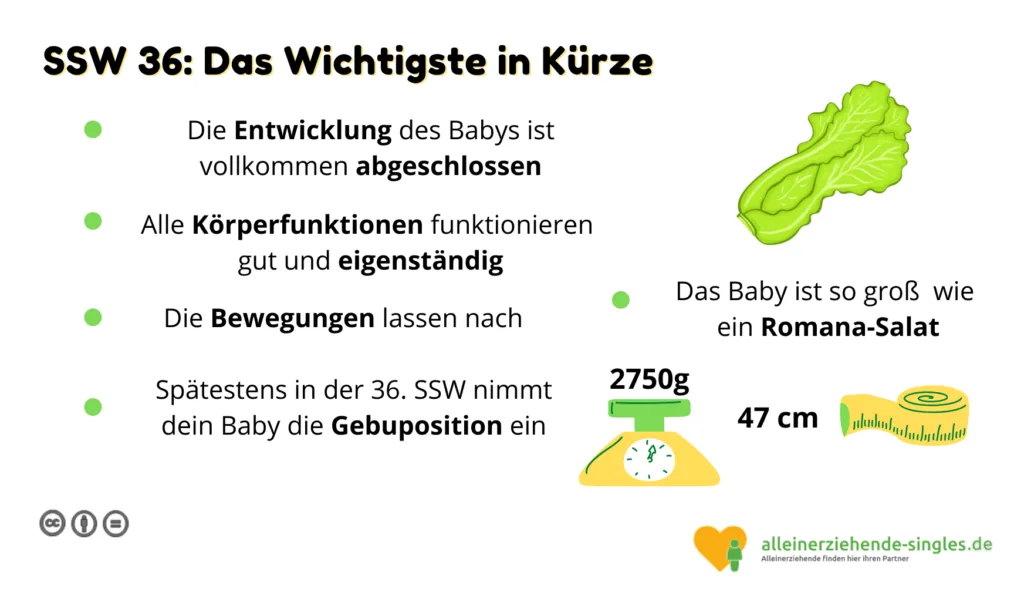 Schwangerschaftswoche 36