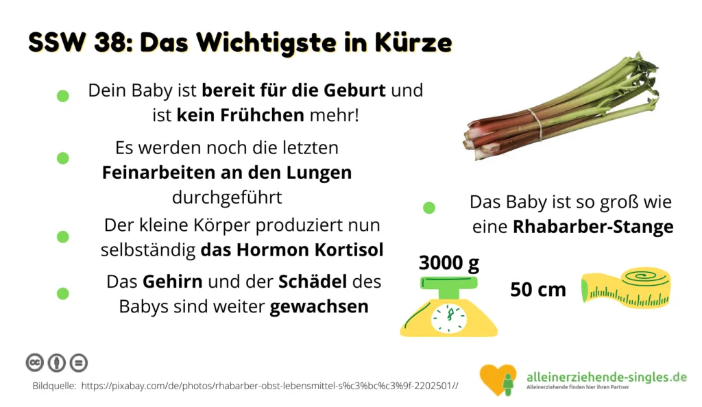 Schwangerschaftswoche 38