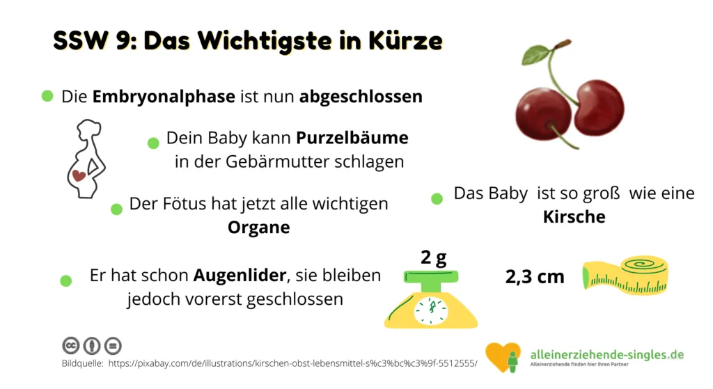 Schwangerschaftswoche 9