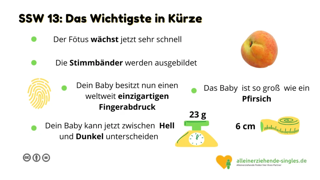 Schwangerschaftswoche 13
