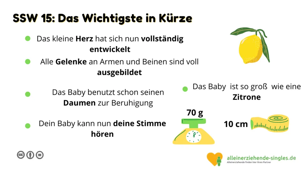 Schwangerschaftswoche 15