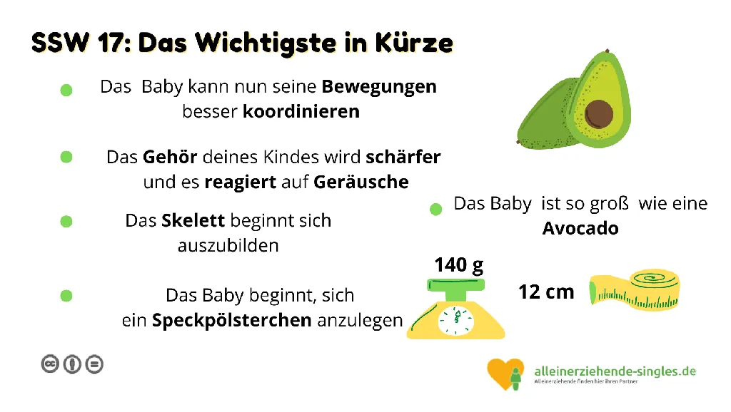 Schwangerschaftswoche 17 SSW17