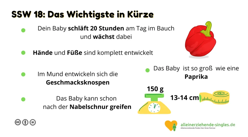 Schwangerschaftswoche 18