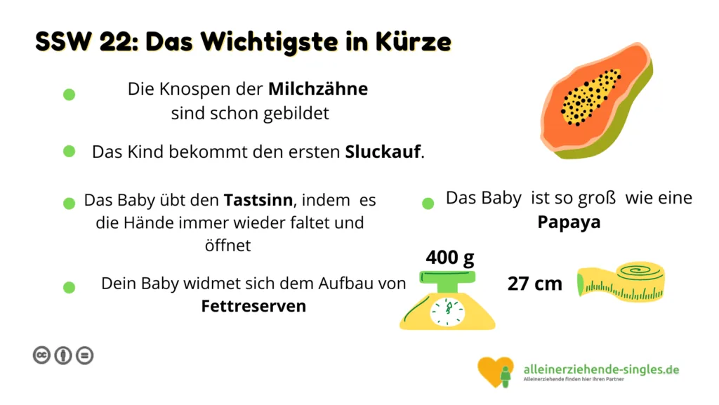 Schwangerschaftswoche 22